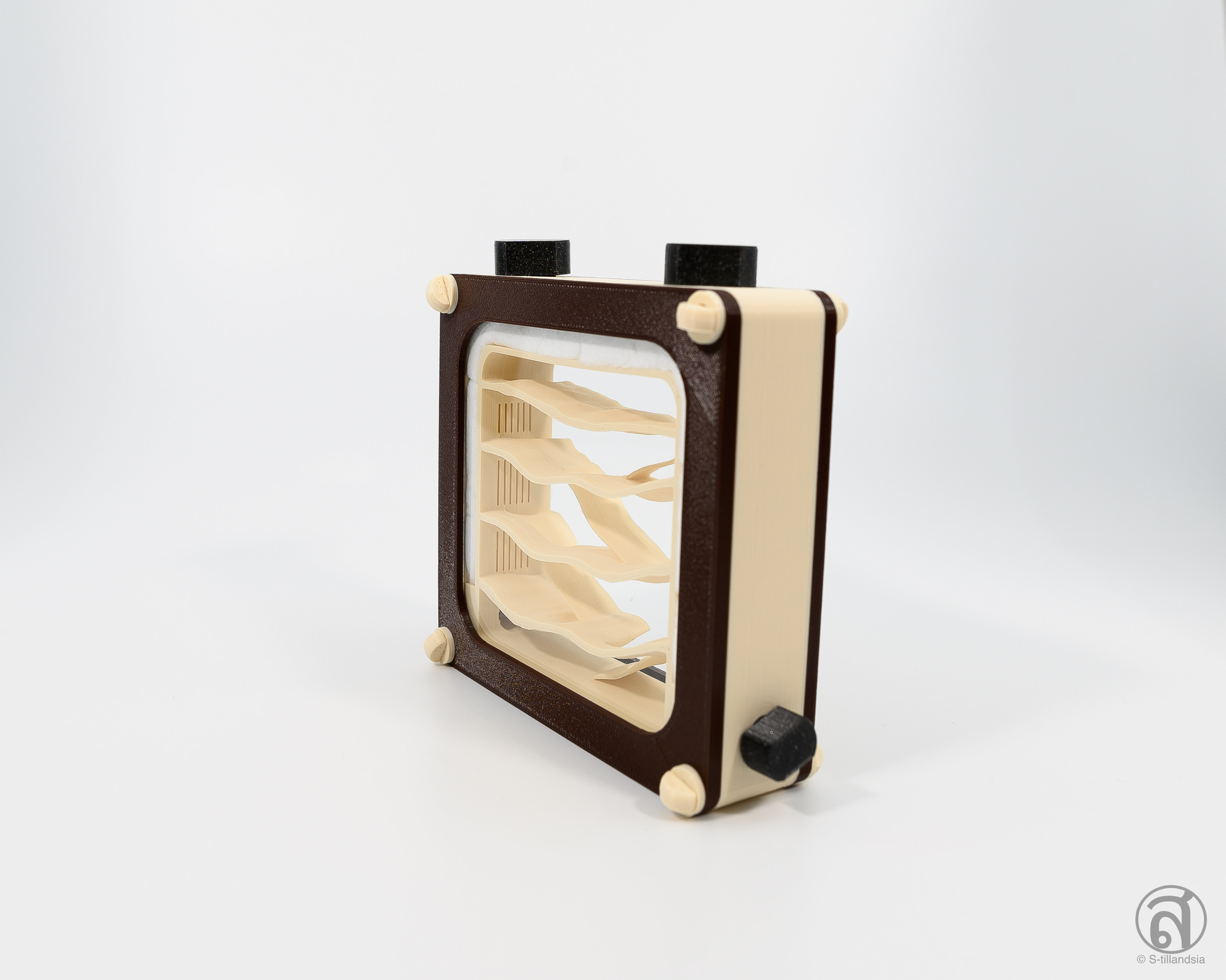 Hybrid Nest 2 side large ・ガラスアリ飼育ケース Hybrid Nest 2 side