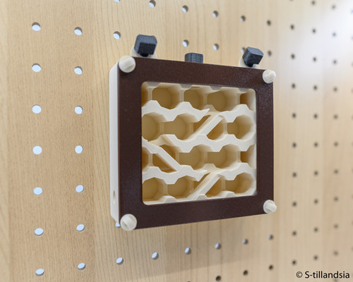 Hybrid Nest type wall ・壁掛タイプ・medium | s-tillandsia Hybrid