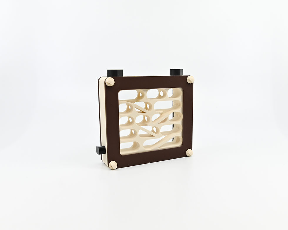 Hybrid Nest type wall ・壁掛タイプ・medium | s-tillandsia Hybrid