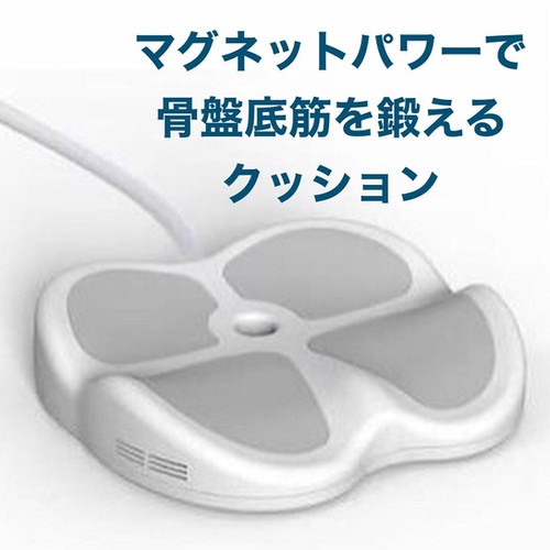 骨盤底筋トレーニング 電磁パルス