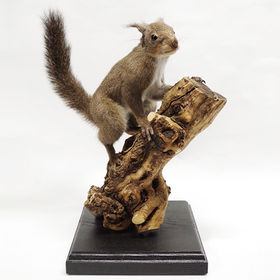 香炉 メノウ 桃とコウモリ 香炉 メノウ 桃とコウモリ 香炉 メノウ 桃と