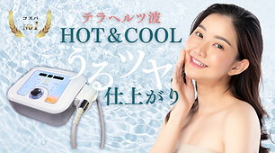 最新第4世代エレクトロポレーション＆クライオポレーション 正規品