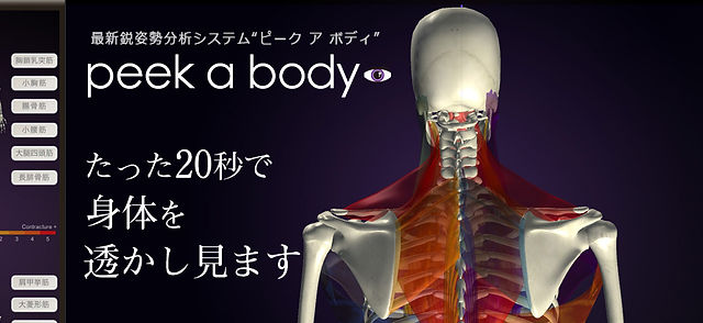 peek a body | B.C Lab Inc.|姿勢分析 姿勢測定 姿勢歪み 姿勢ソフト