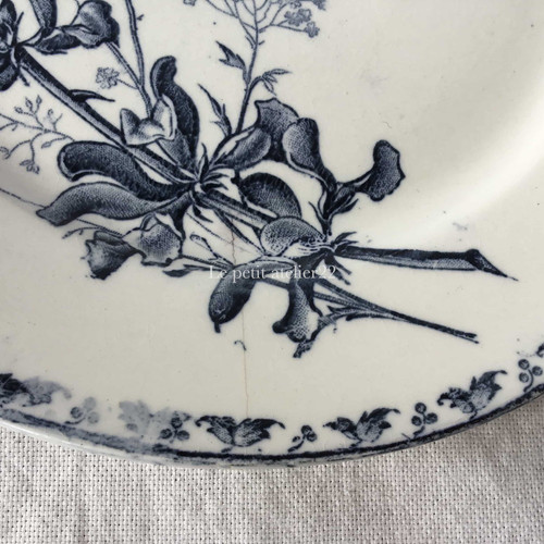 フランス アンティークプレート 皿 サルグミンヌ 21cm (No5 花B-蜂