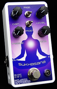 Sukhasana | Wilson Effects