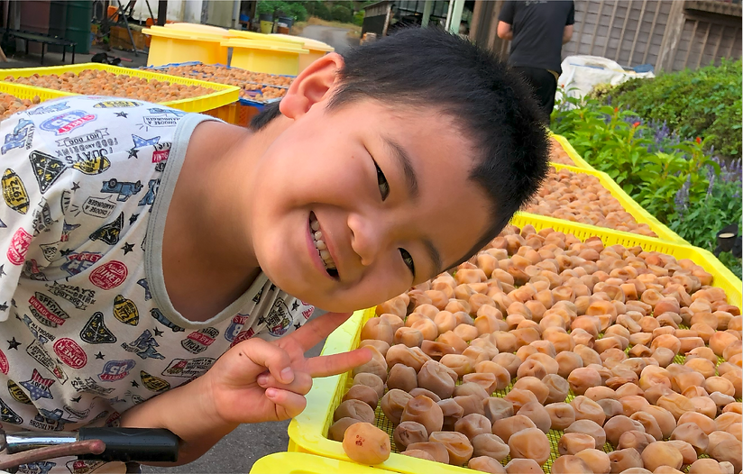 フルーツランド外塚農園 | かすみがうら市
