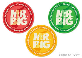 MR.BIG 能登半島地震災害復興支援チャリティープロジェクト | モバオク！