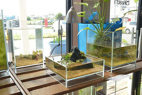 c18c85_a965bd97270f4049ad9ca7e