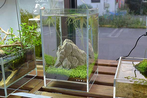 ada DOOA ネオグラスエア 20×20×35 水槽セット ada DOOA ネオグラス