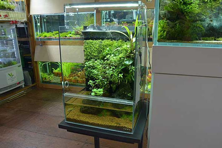 DOOA システム水槽。