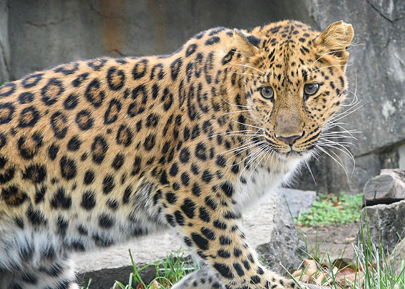 c1c9e2_3fce951bff684eb094e1355