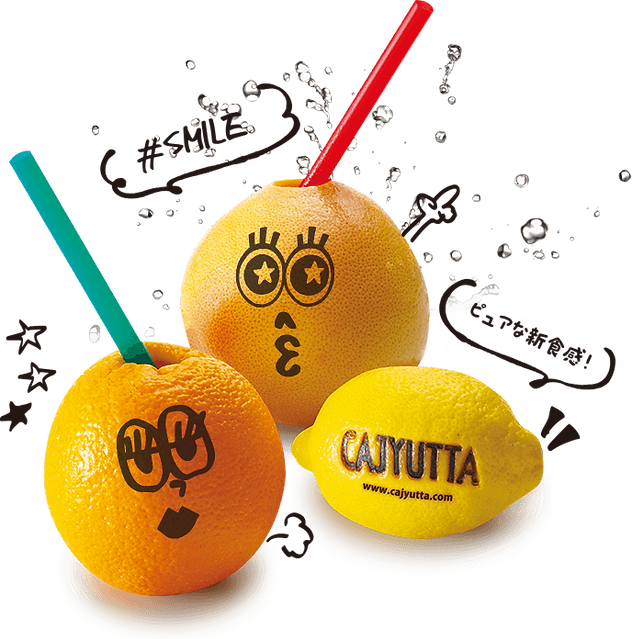 CAJYUTTA カジュッタ (取替用替刃1本付、芯抜き機付)CJT3-04