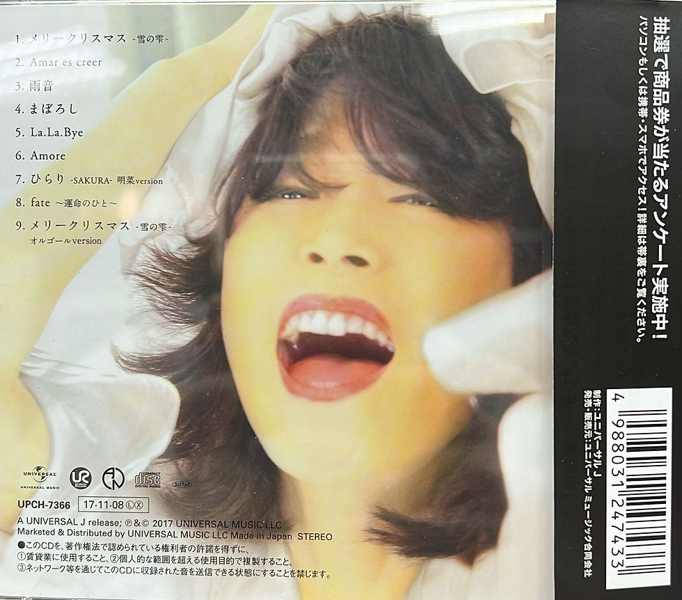 未開封) 中森明菜 1997 DSパンフレット 中森明菜 1997 DSパンフレット