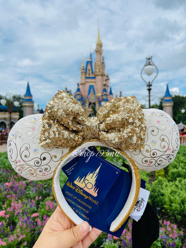 完売品】【弊社在庫限り】ウォルトディズニーワールド50周年 光る