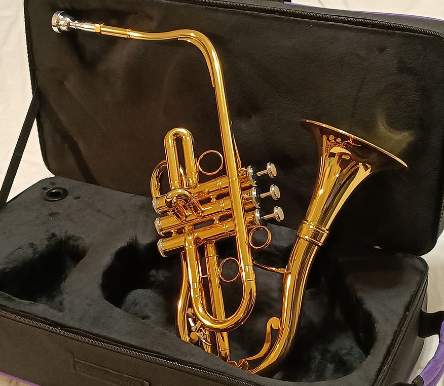 PROJECT EUPHONIUM - quid ma cotto Trumpet-Saxophone