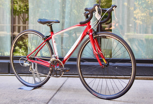 Specialized Dolce Sport - 48cm | NW Pro Gear