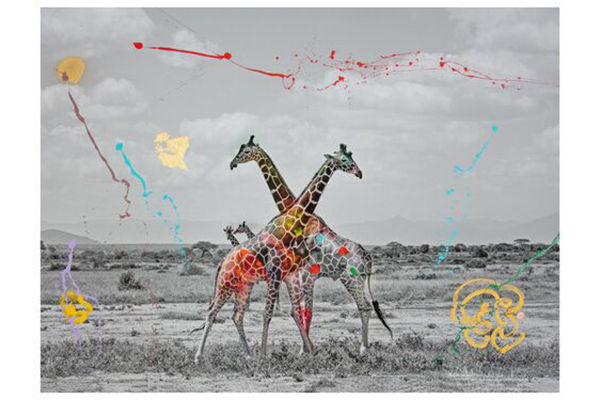 イエローコーナー | フランス発のアートフォト専門ショップ