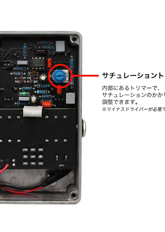 RayDrive】自作Jan Ray ClipMod/s黒/9〜18V電源対応 RayDrive】自作Jan Ray