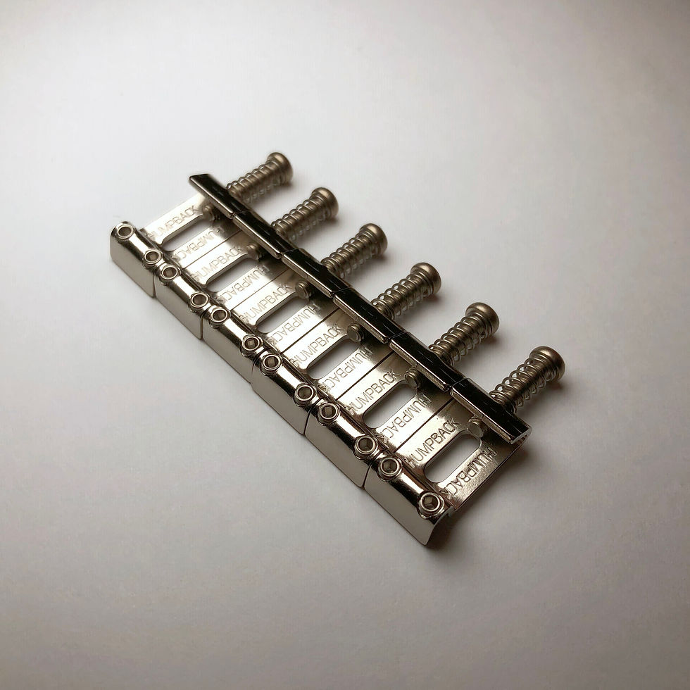 HUMPBACK ENGINEERING 2107 BASS EQ Preamp ベース Humpback