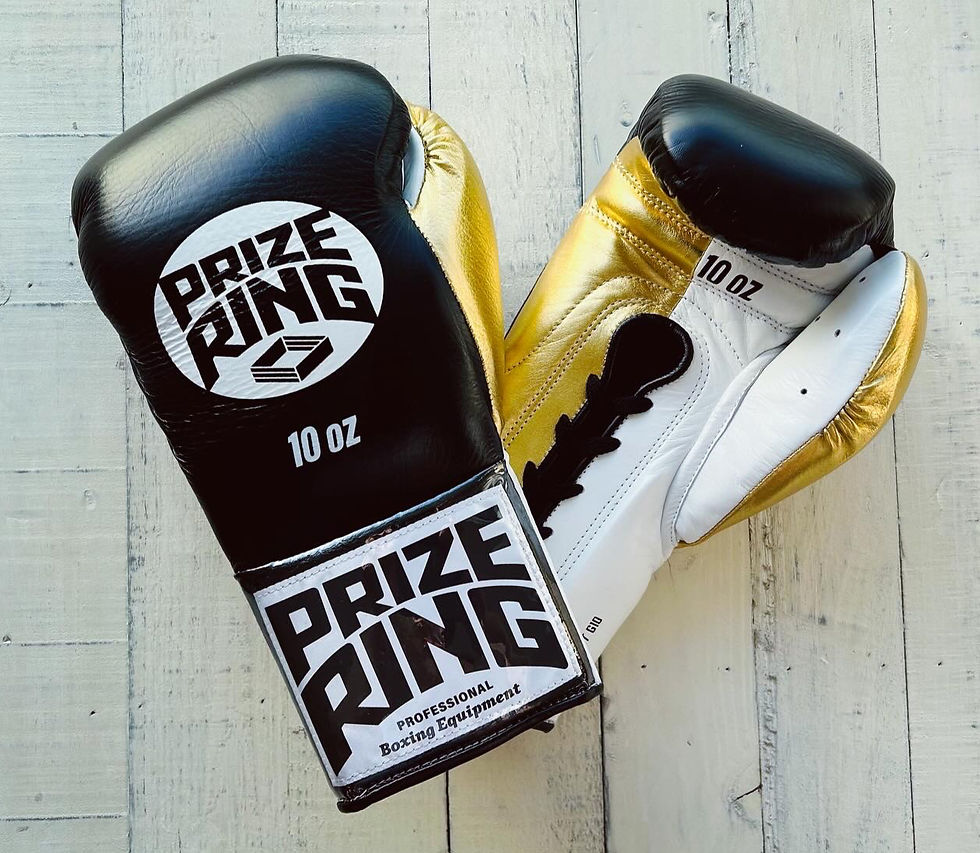 ボクシンググローブ | prizeringsports 4/4