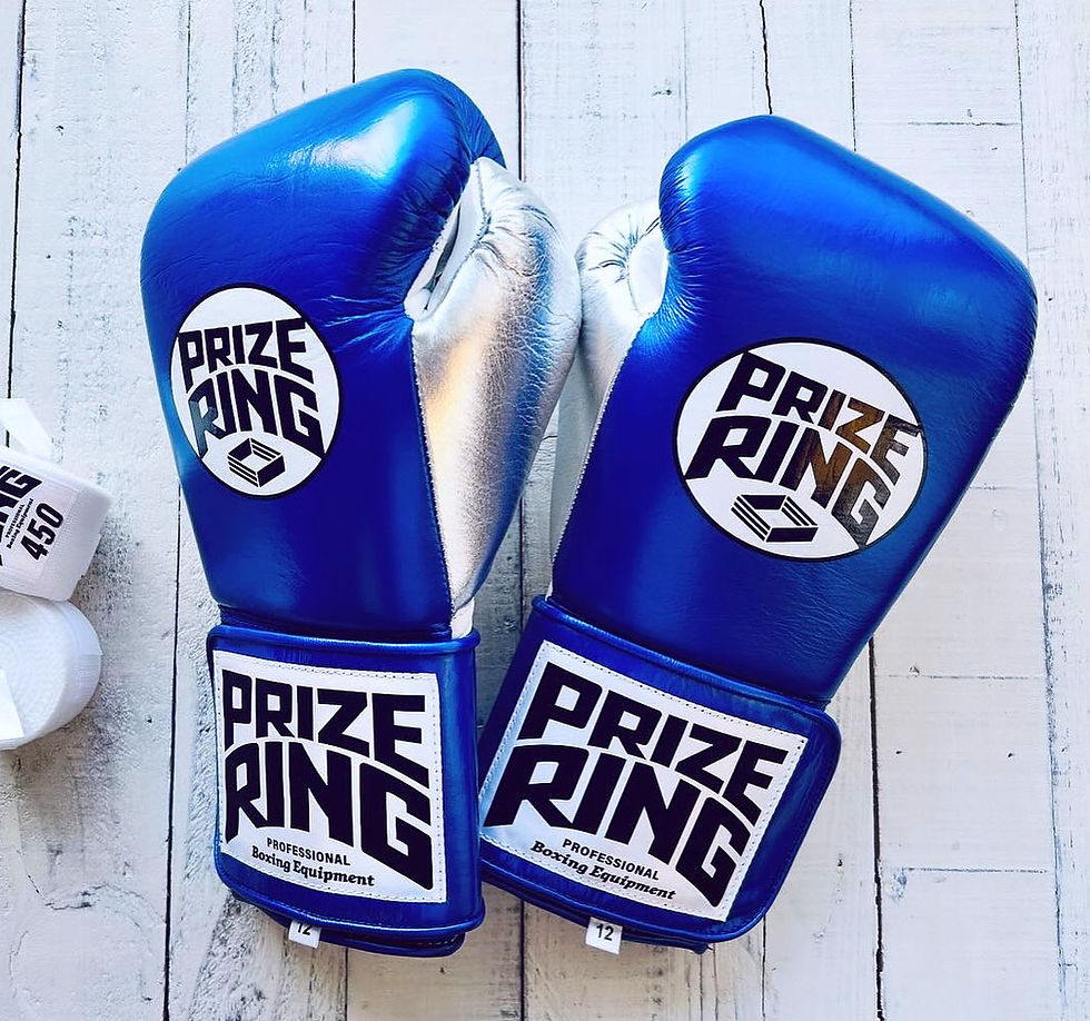 PRIZE RING ボクシンググローブ 14oz とパンチングミット PRIZE RING
