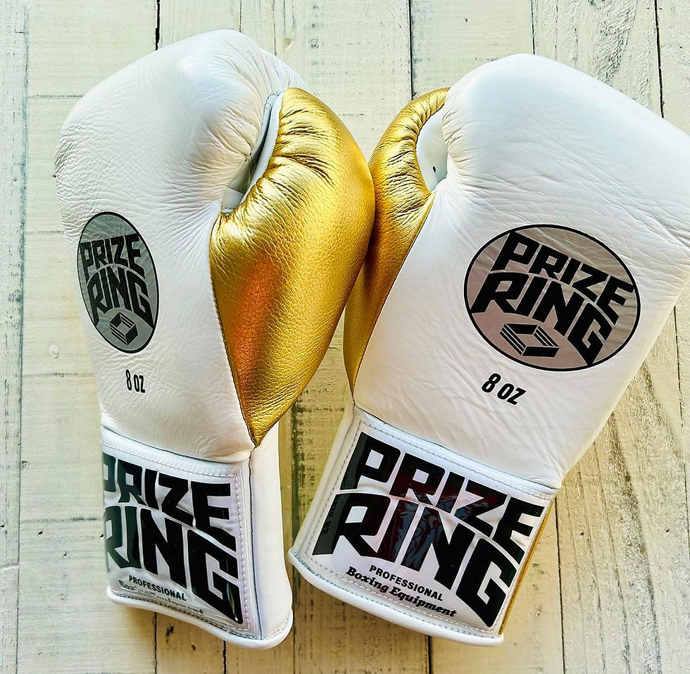 BOXING GLOVES | prizeringsports