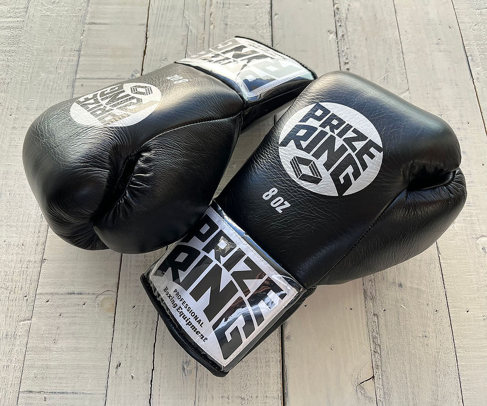ボクシンググローブ | prizeringsports 3/4