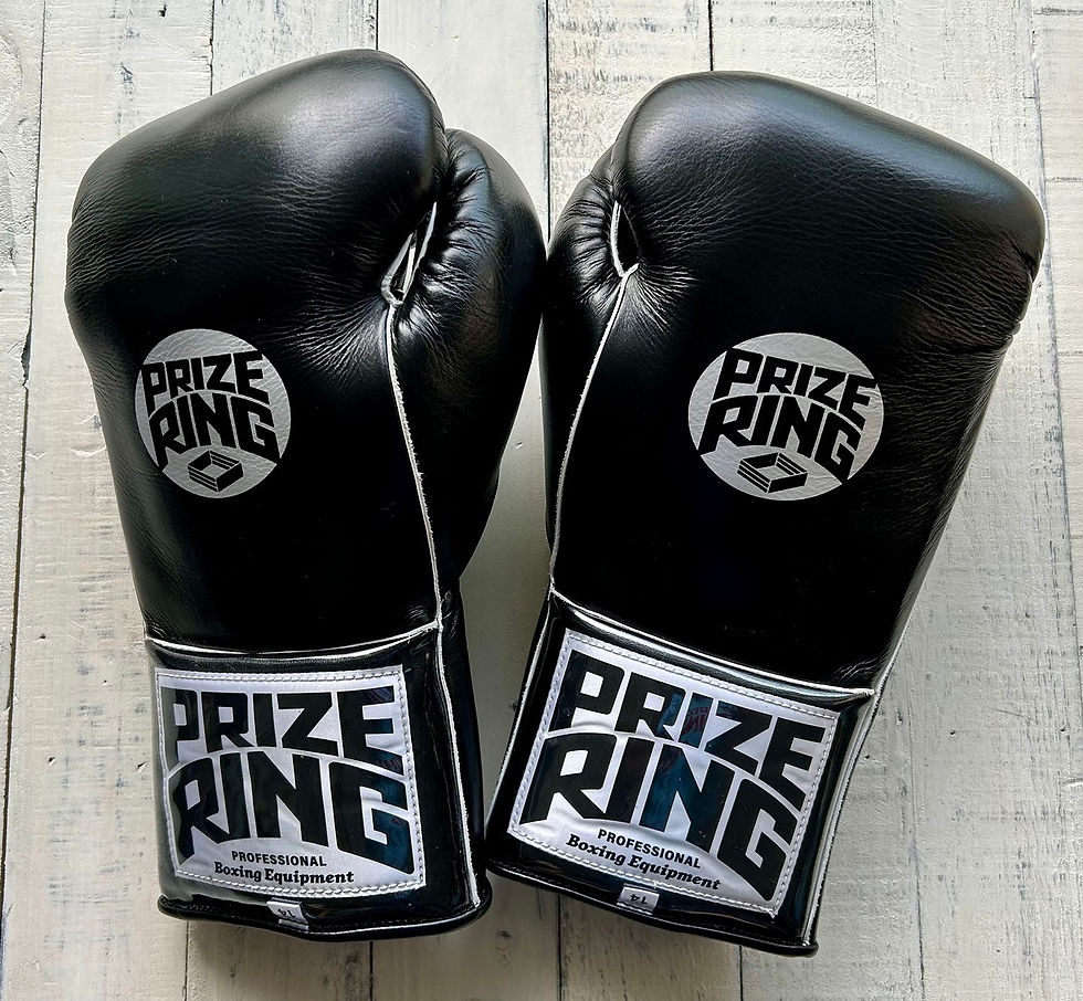 ボクシンググローブ | prizeringsports