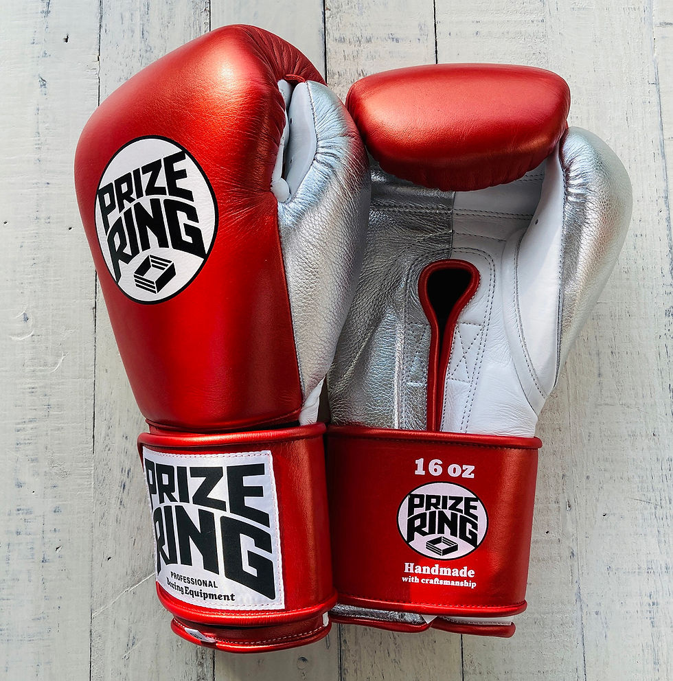 ボクシンググローブ | prizeringsports 3/4