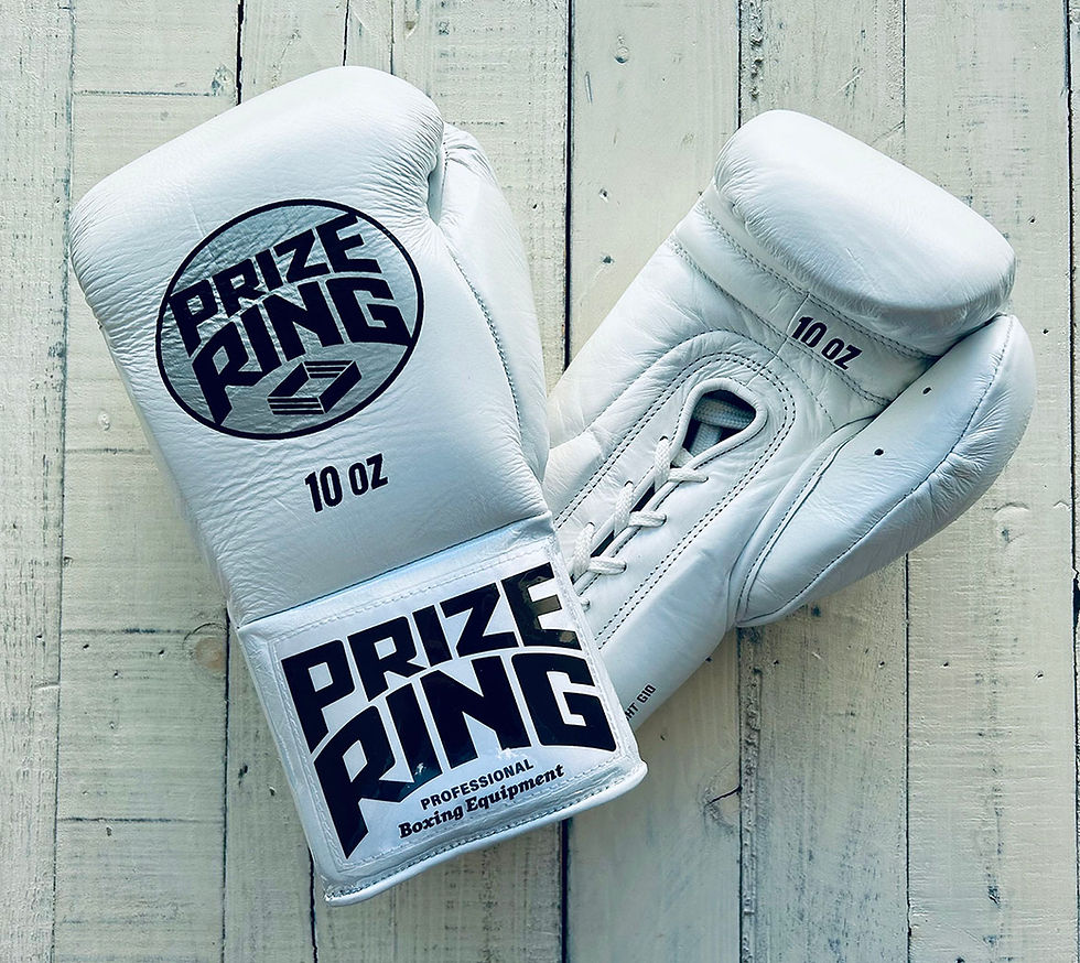 ボクシンググローブ | prizeringsports 3/4