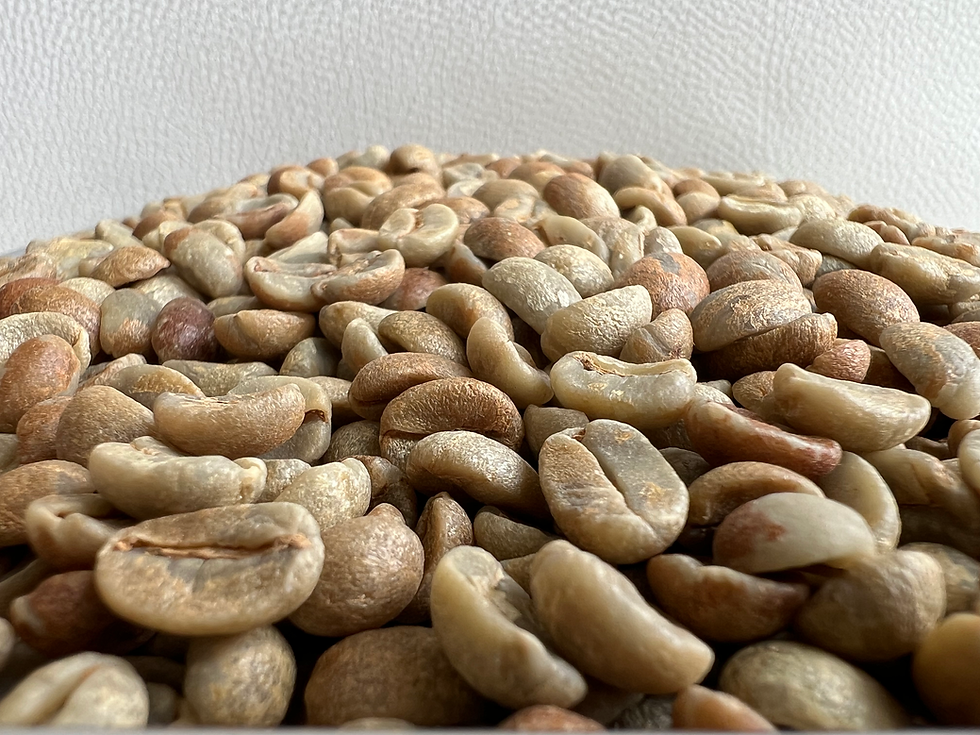 コスタリカ8kg＋パナマ2kg 生豆 コスタリカ8kg＋パナマ2kg 生豆