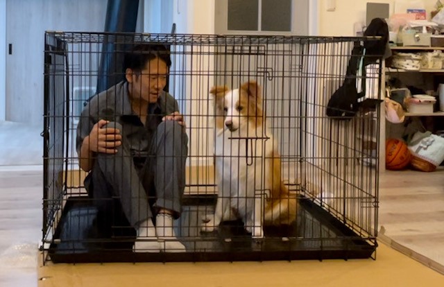 トムクレイト6000】中型犬のケージは絶対コレ｜サイズ豊富＆頑丈で収納